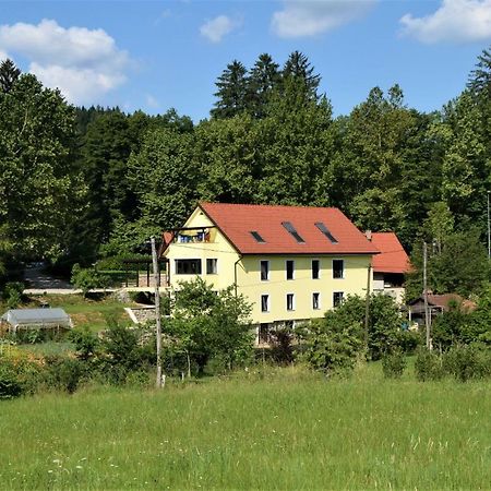 Apartmaji Maln Доленсле Топлице Екстериор снимка