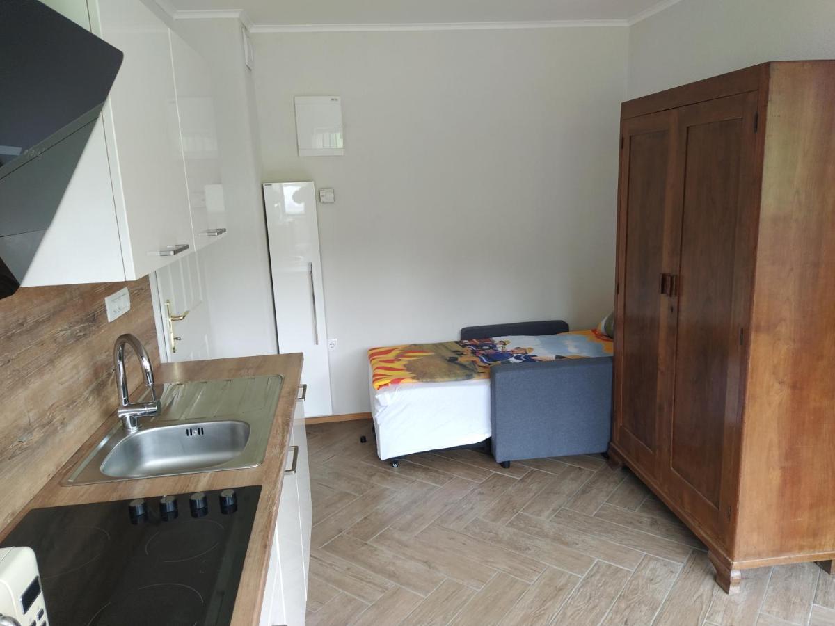Apartmaji Maln Доленсле Топлице Екстериор снимка