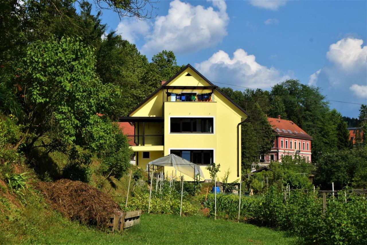 Apartmaji Maln Доленсле Топлице Екстериор снимка