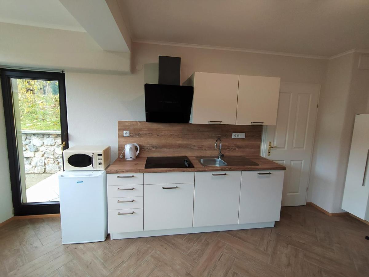 Apartmaji Maln Доленсле Топлице Екстериор снимка